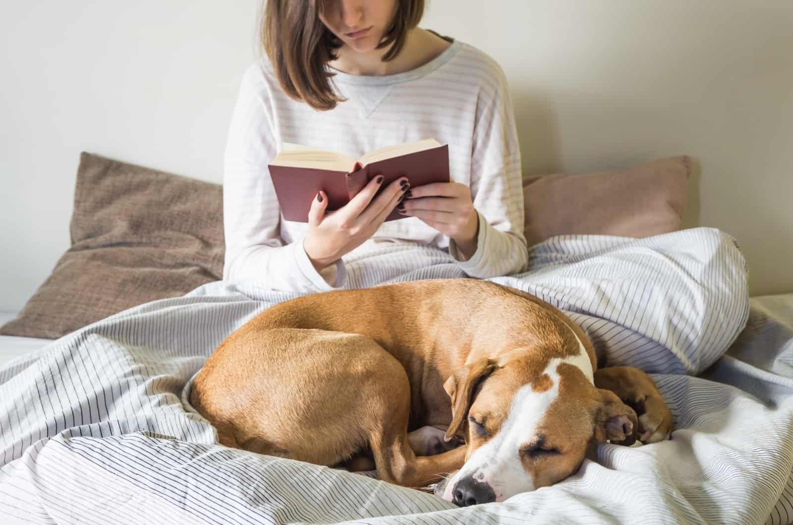 dog sleeping on bed