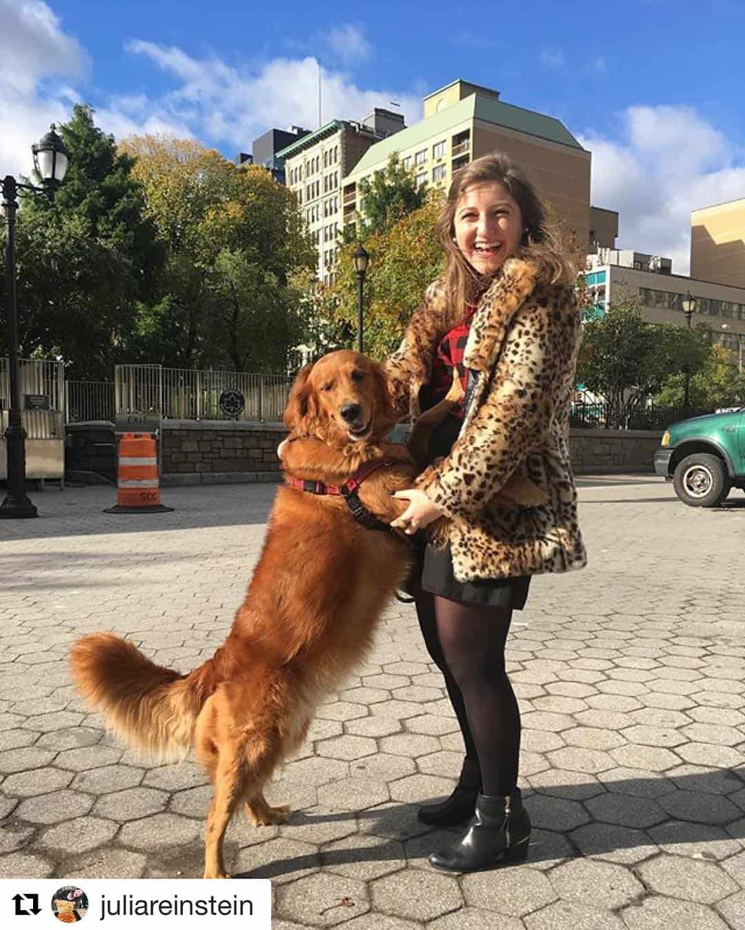 dog standing and hugging the girl