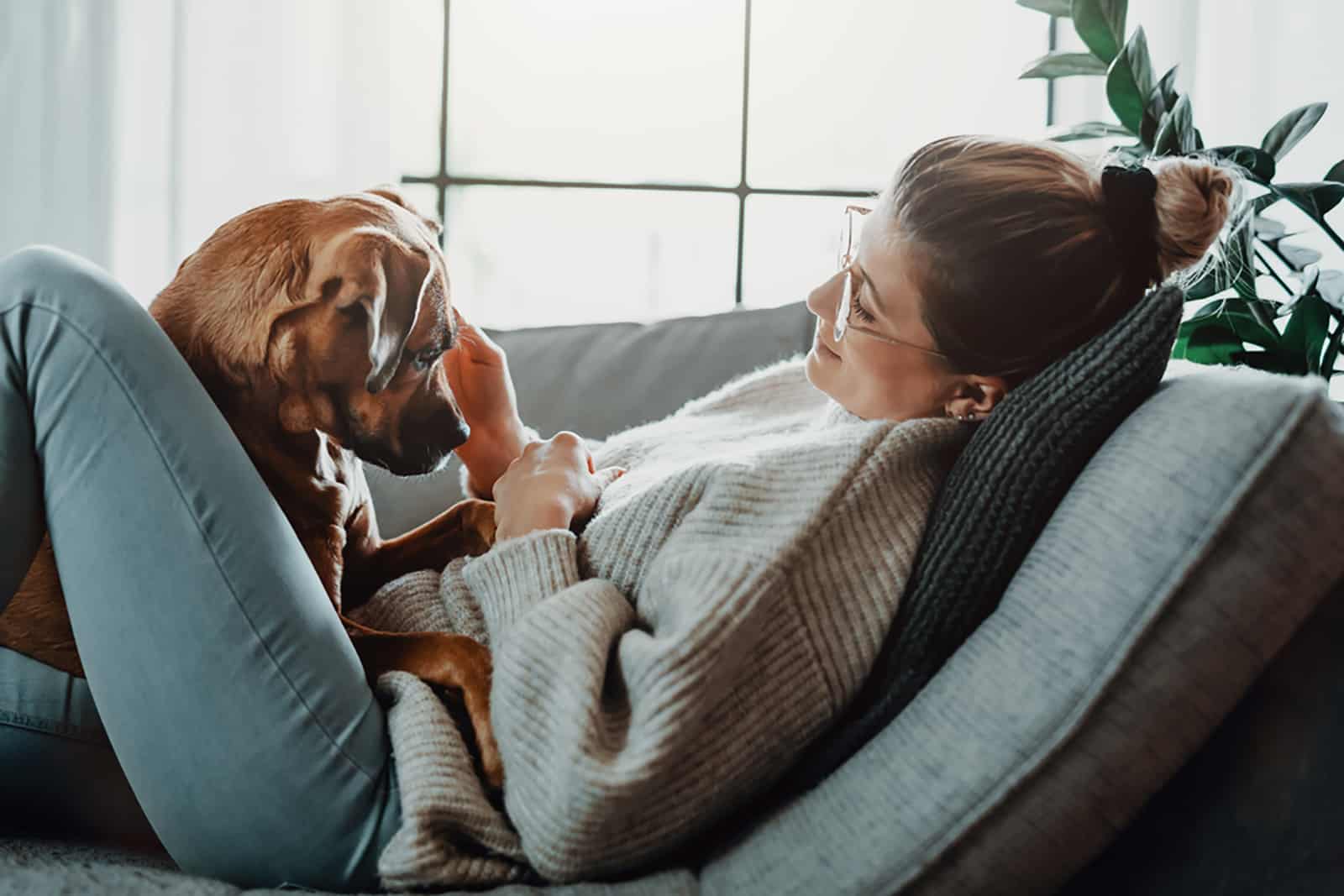 dog standing on his owner lying on the couch