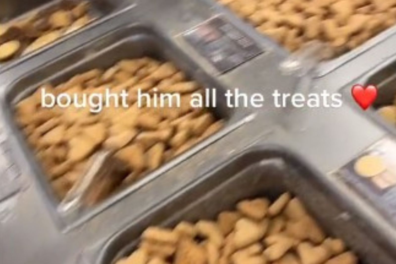 dog treats