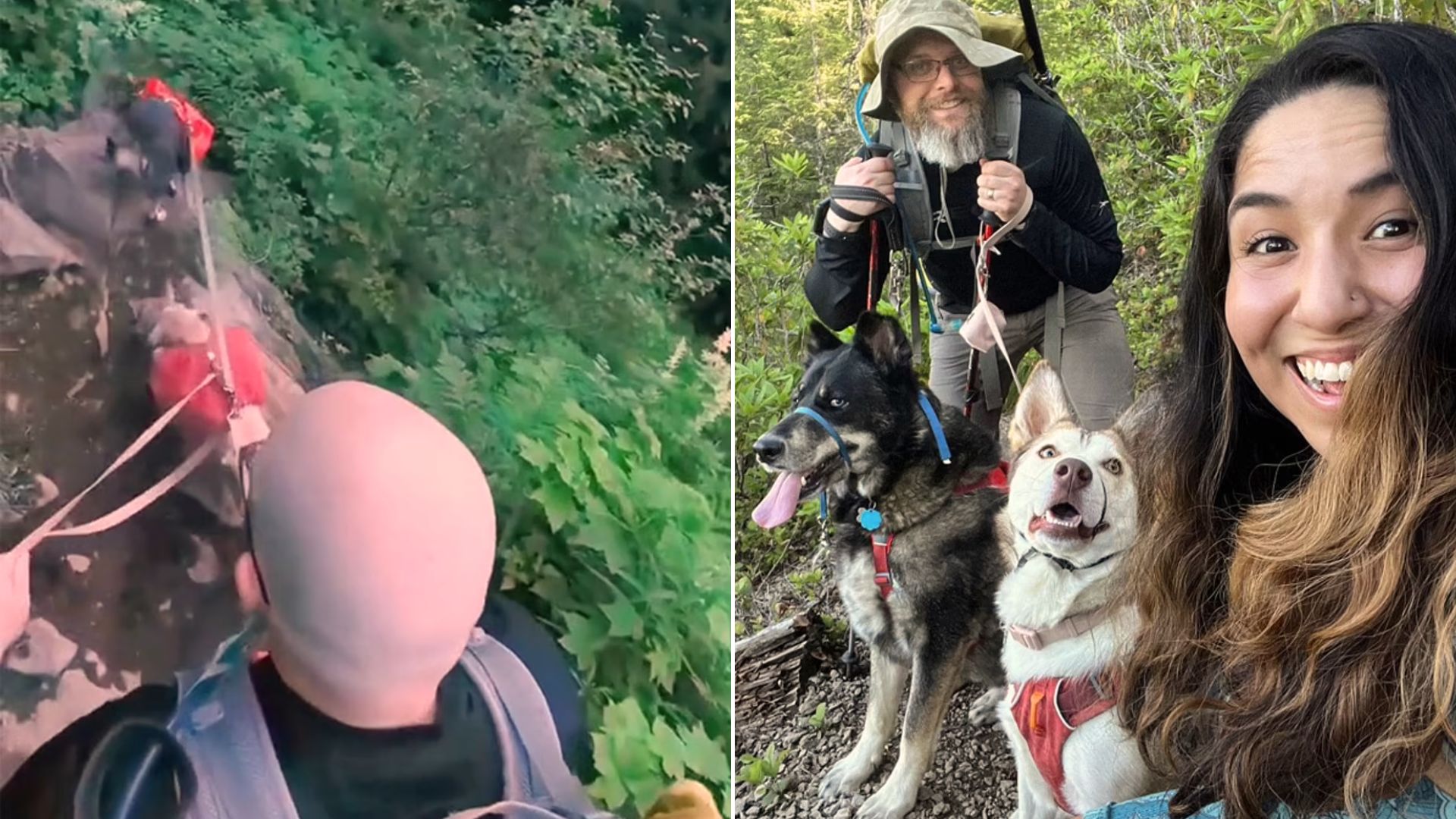 Couple Saves Their Dog From A Dangerous Fall Off A Cliff In Oregon Woods