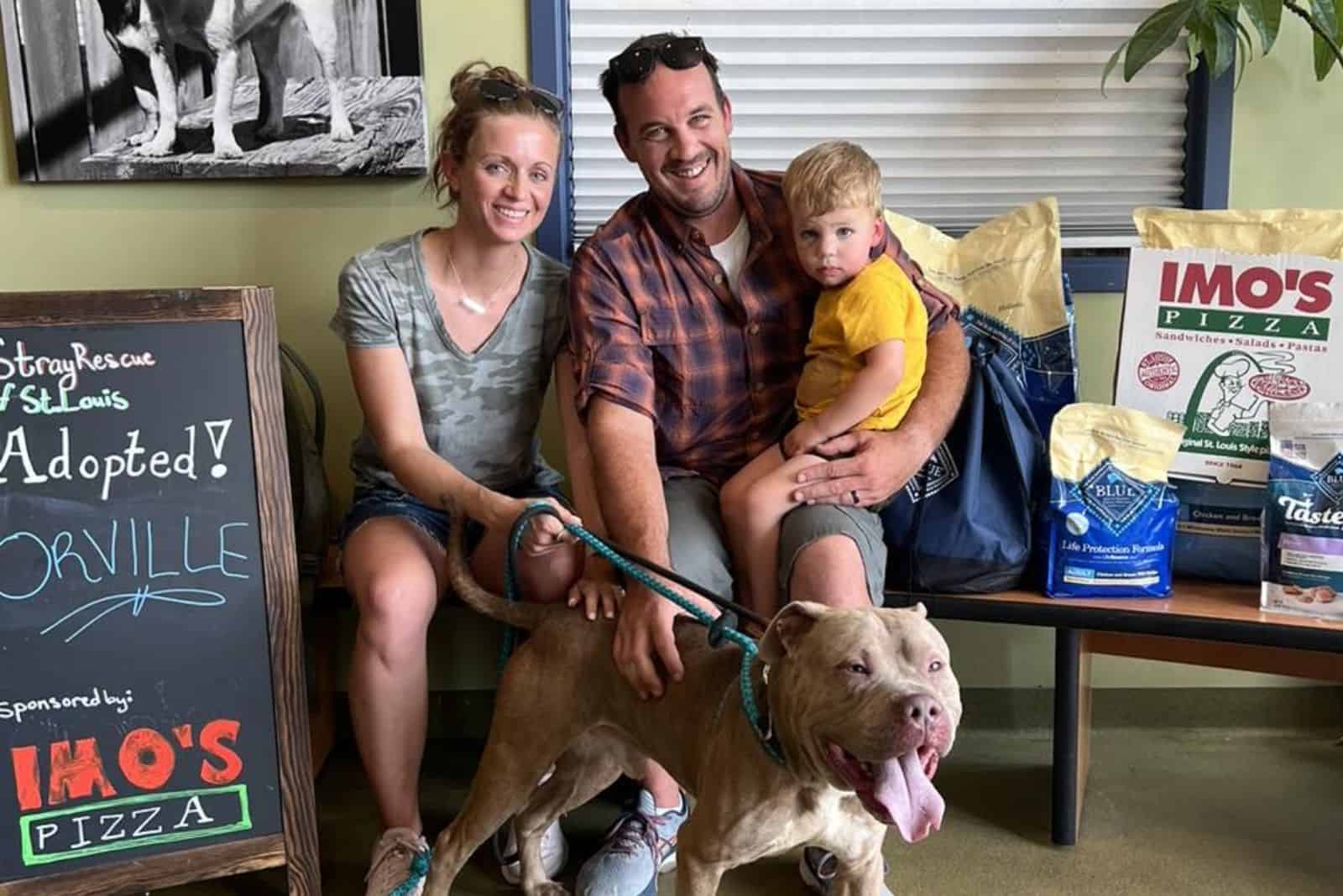 dog with his family posing for photography