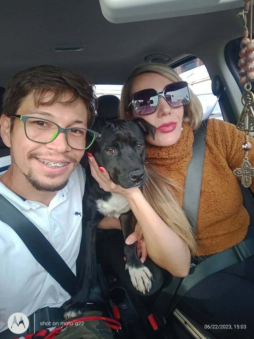 Dog with his new family