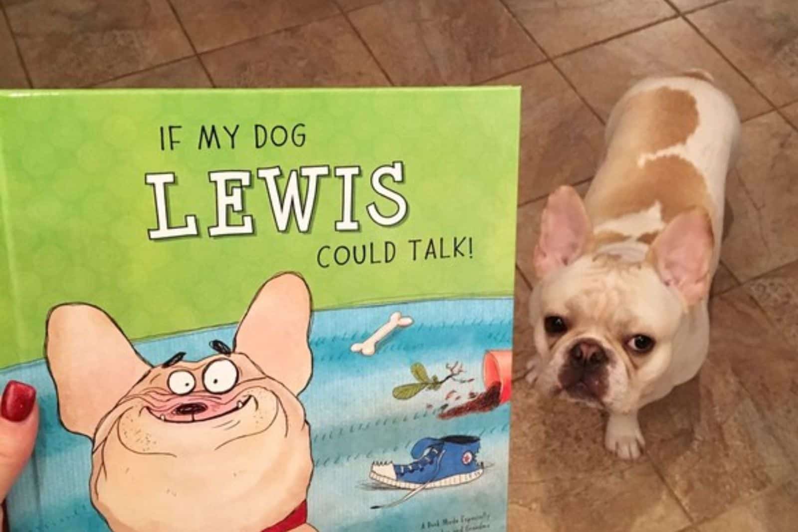 dog with his own personalized book