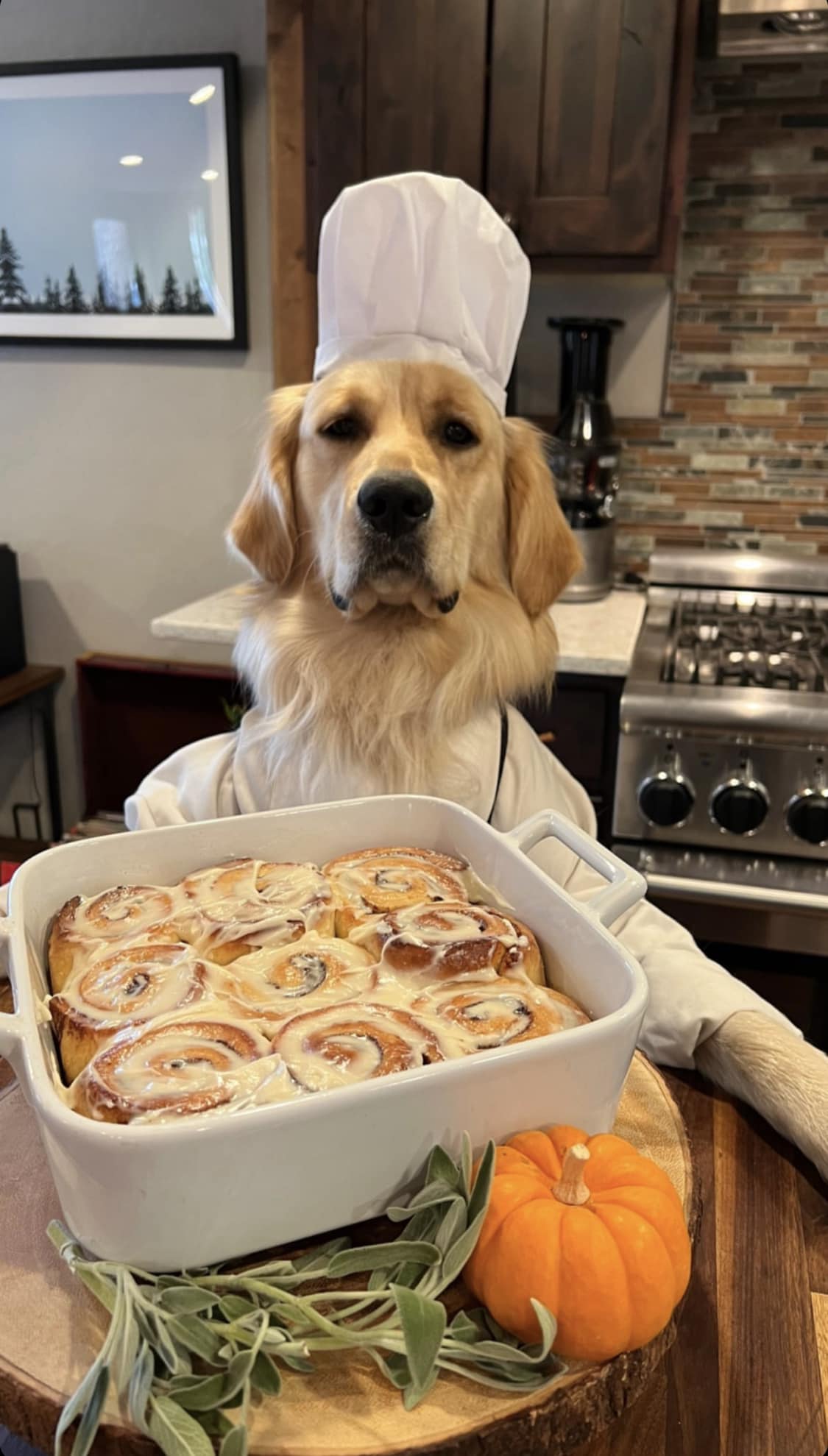 dog next to cinnamon rolls and pumpkin pie