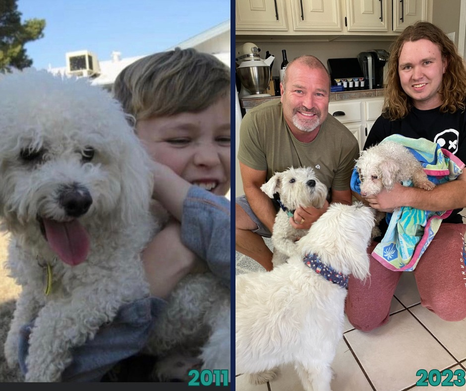 photo of fluffy white dog with a child from 2011 on the left and a photo of that dog with grown-up kid, his father, and two other dogs from 2023 on the right