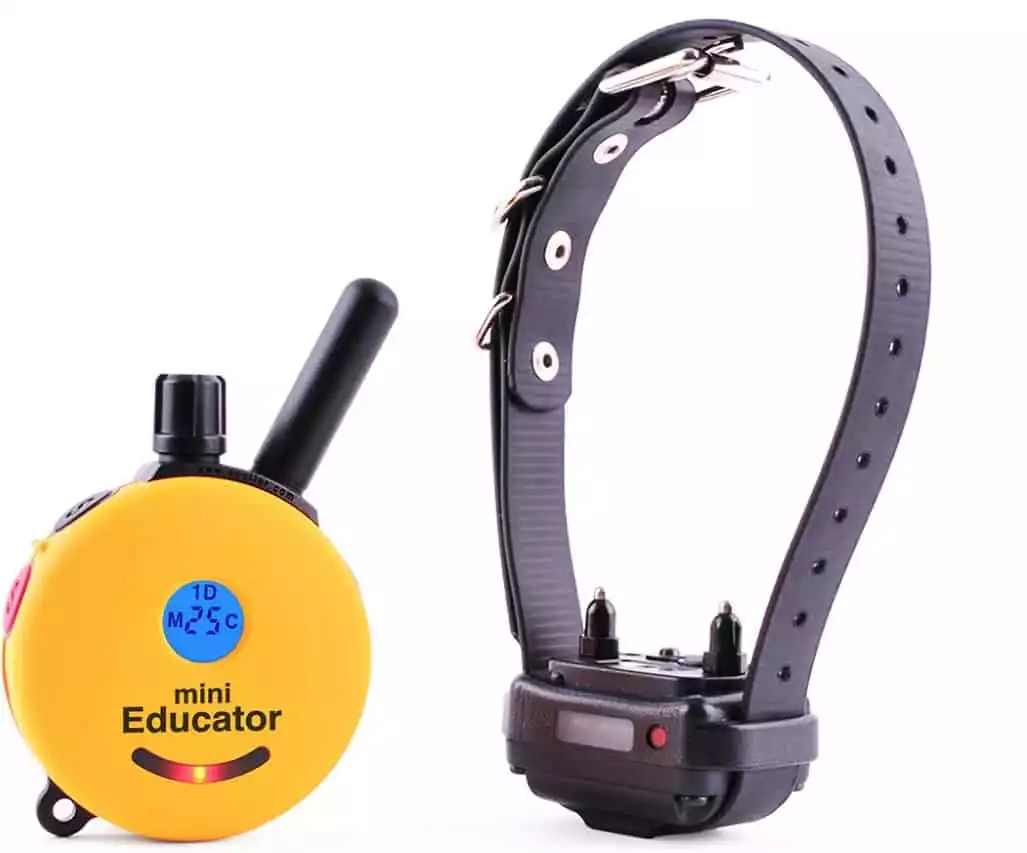 Educator, By E-Collar Technologies