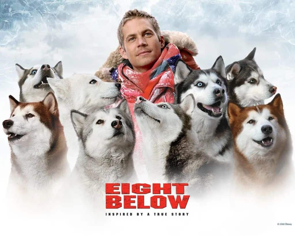 Eight Below