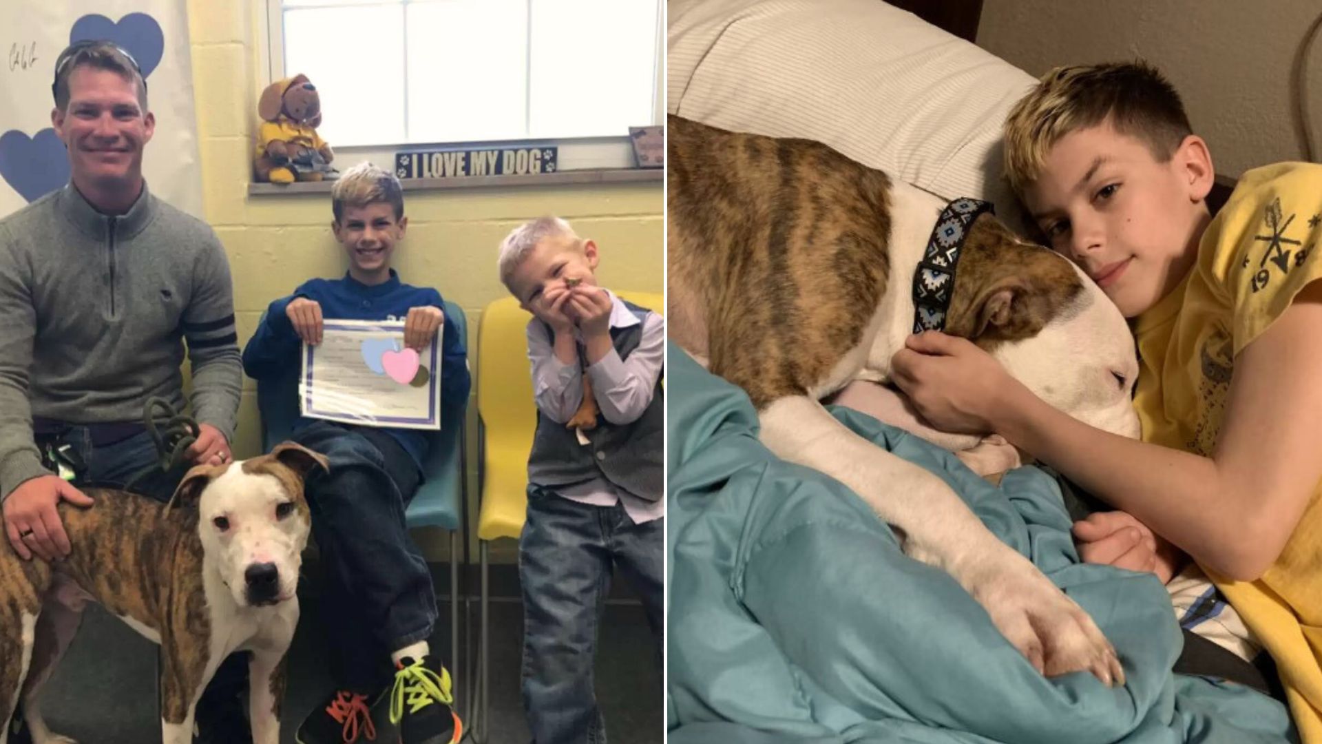 Ohio Family Adopts A Son, Then Welcomes A Furry Bud To Their Loving Home