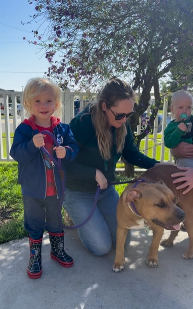 family and Pitbull