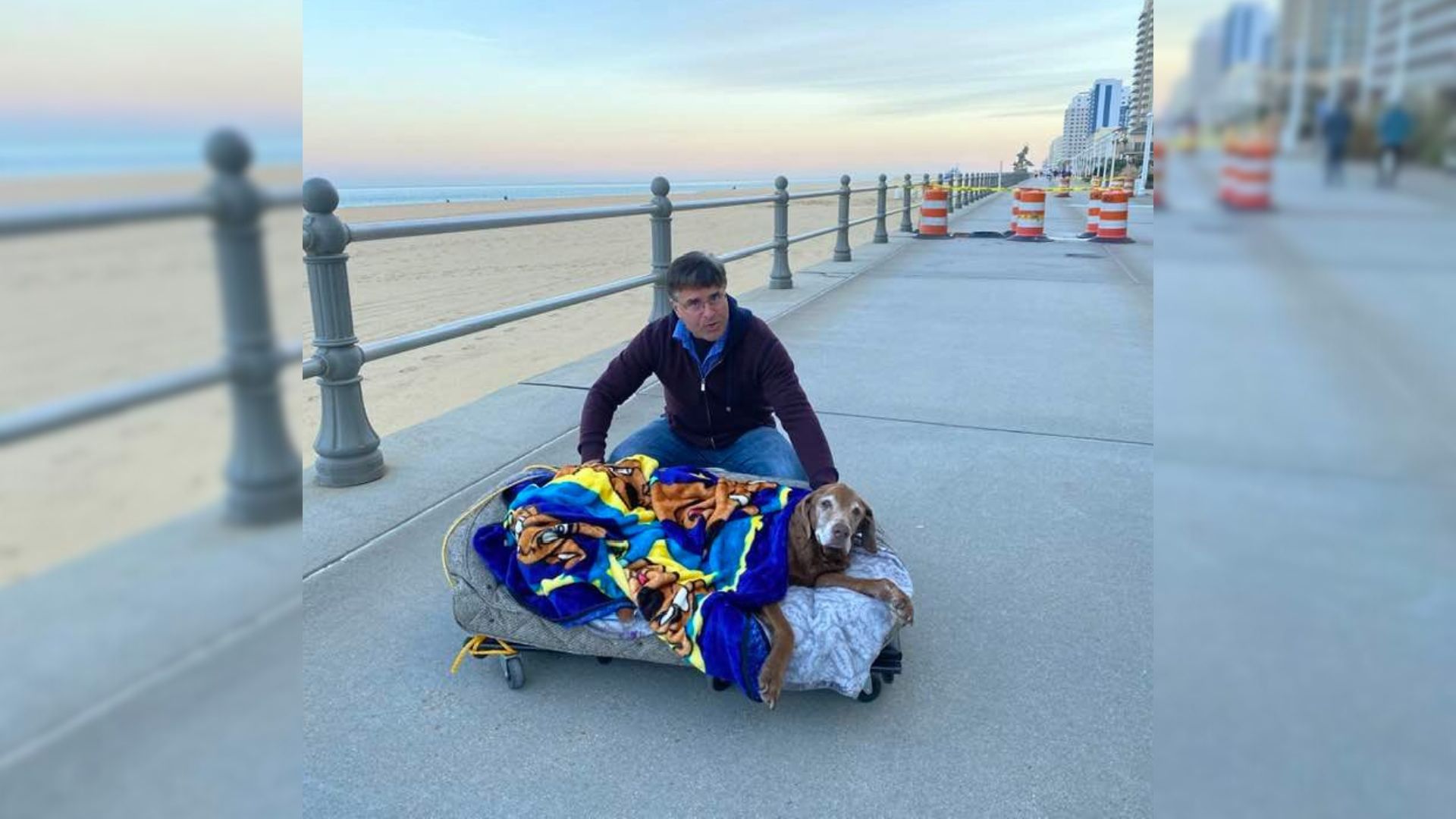 16-Year-Old Dog Gets A Mobile Bed So She Can Visit The Beach