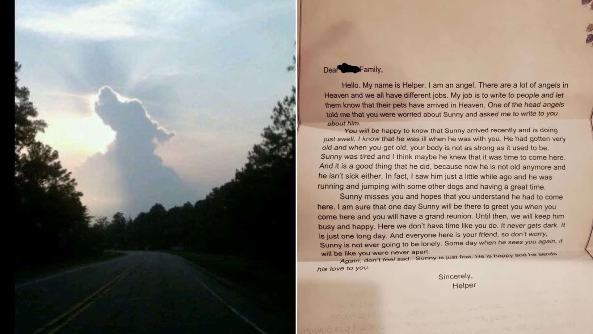 This heartfelt letter from an angelic helper is sure to bring tears to your eyes