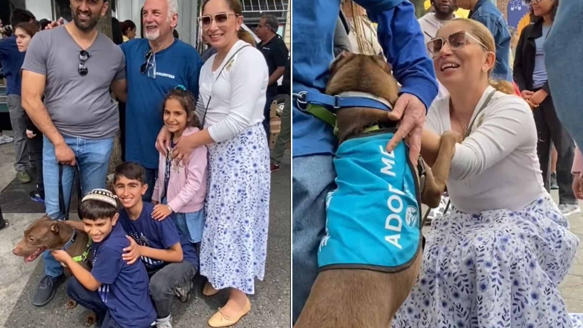 Family Reunites With Their Stolen Dog After 5 Months At The Adoption Event