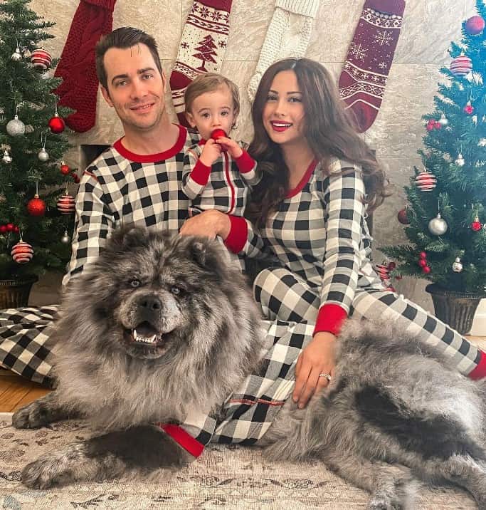 family takes a picture with their Chow Chow for the holidays