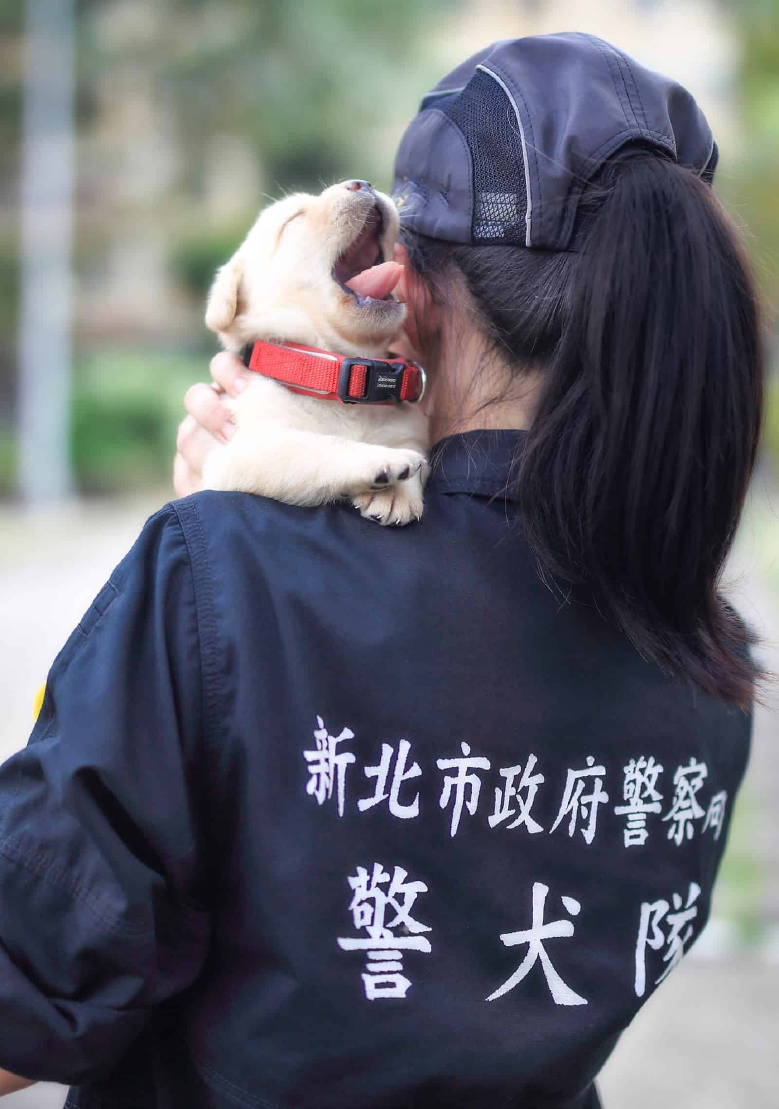 female police officer holding a puppy on her shoulder