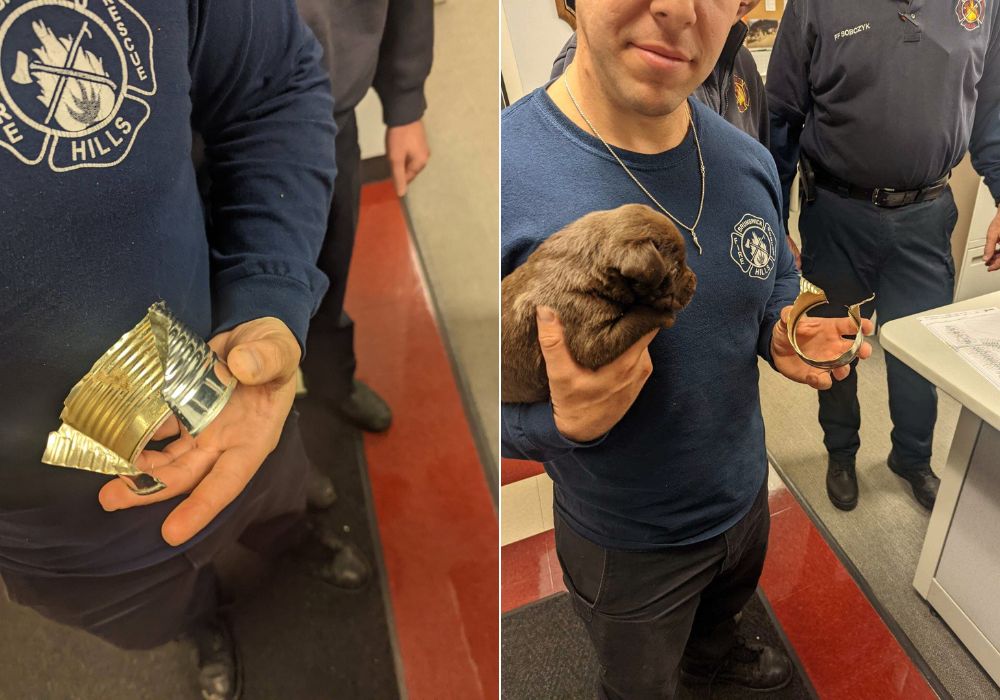 firefighter with saved dog