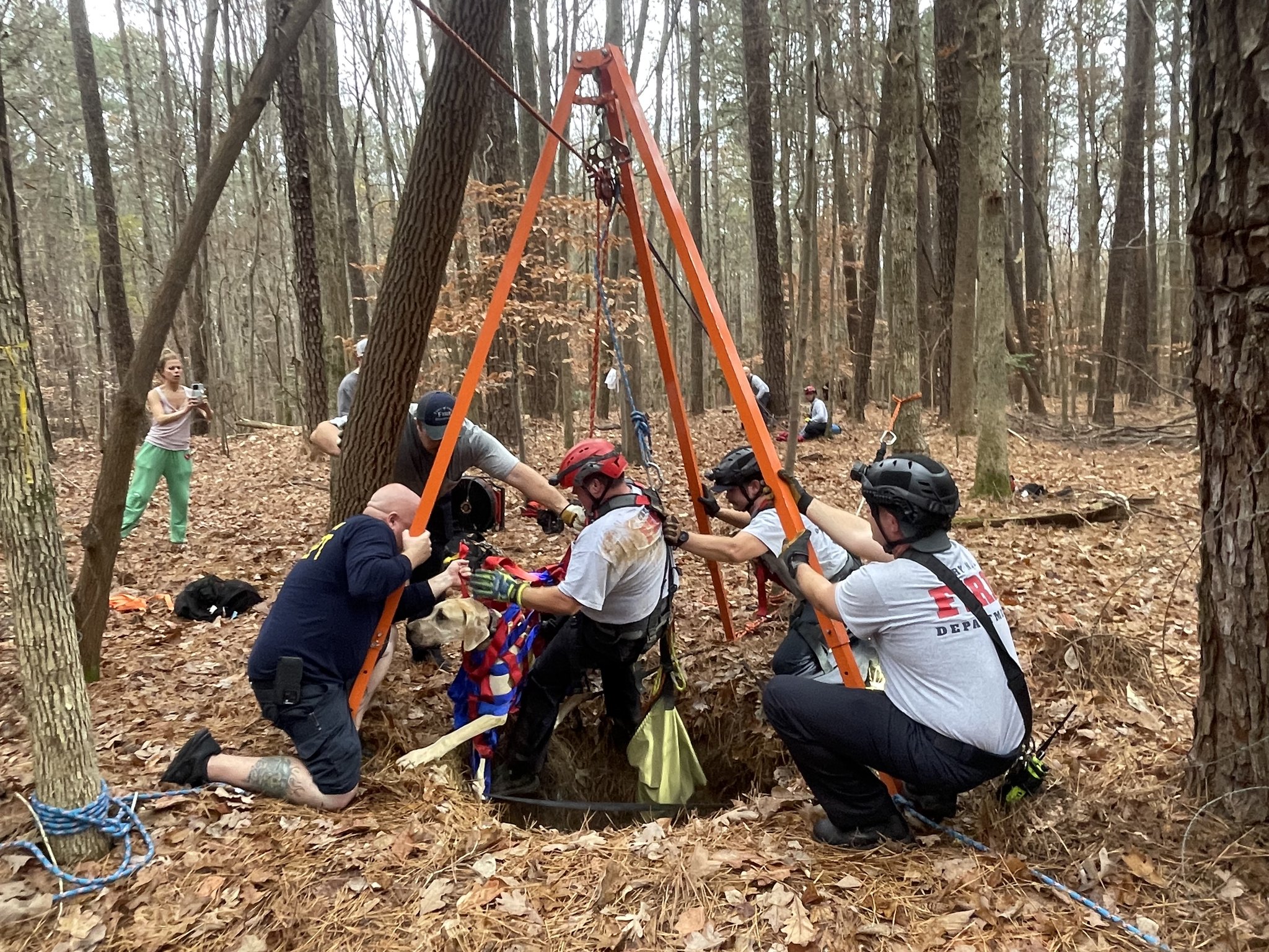 firefighters helping the trapped dog