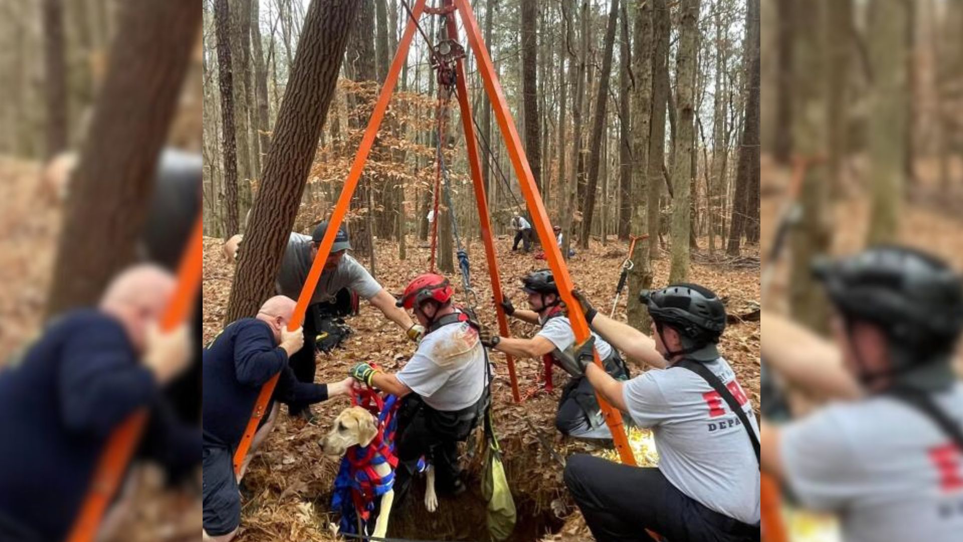 Firefighters Team Up To Rescue A Great Dane Puppy From A 50-Foot-Deep Old Well