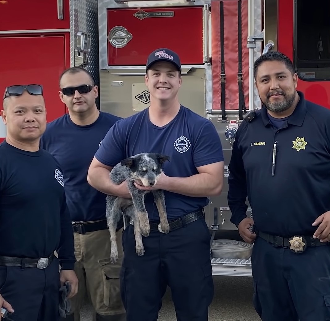 firemen with puppy