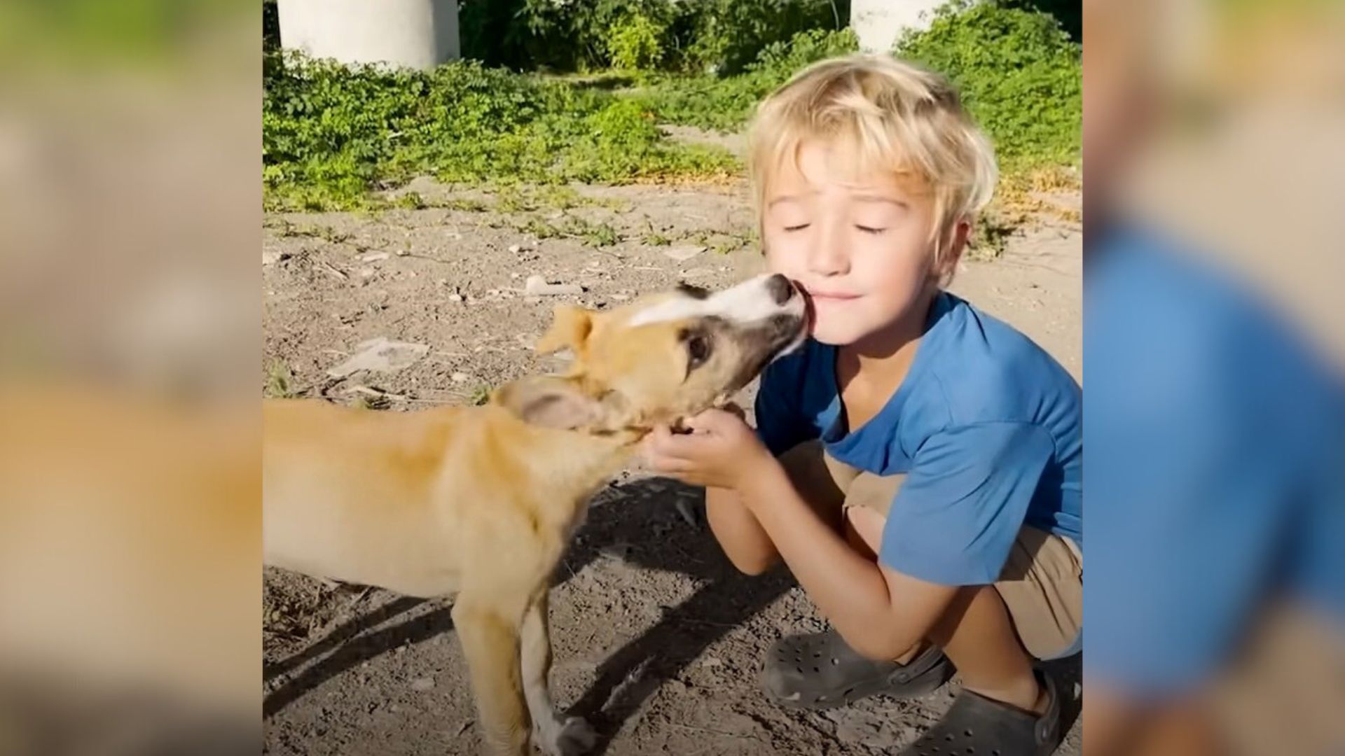 Kind Little Boy Finds Two Abandoned Puppies And Decides To Rescue Them