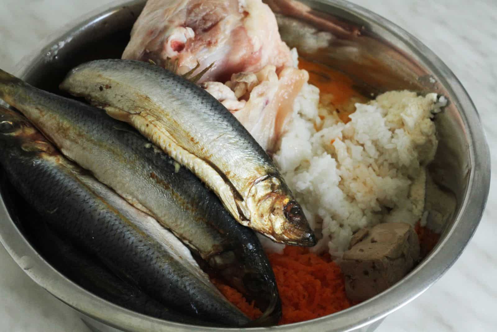 fresh fish in a bowl with dog food