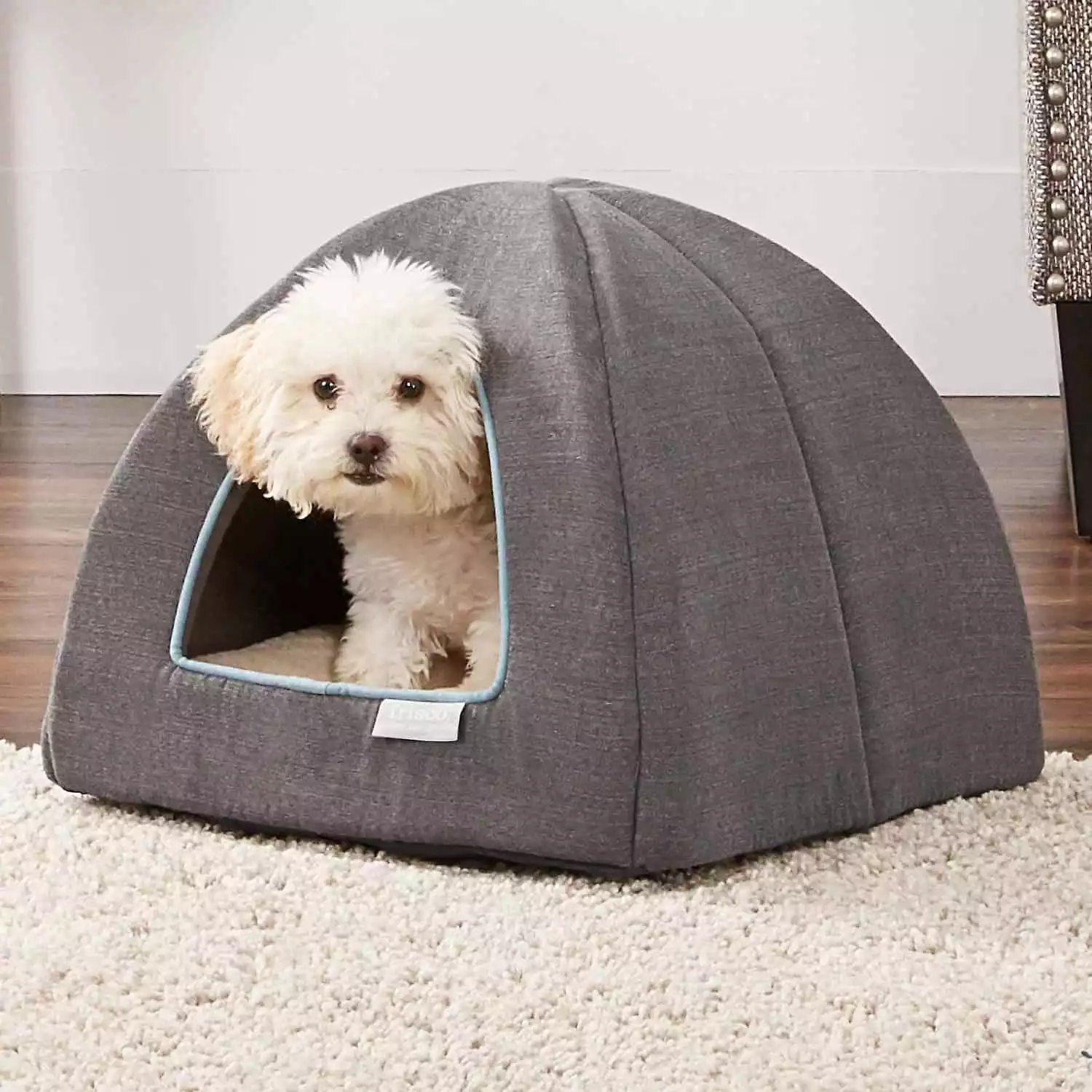 Frisco Igloo Covered Dog Bed