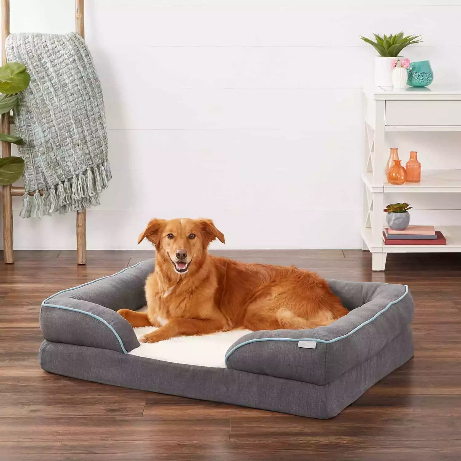 Frisco Plush Orthopedic Dog Bed