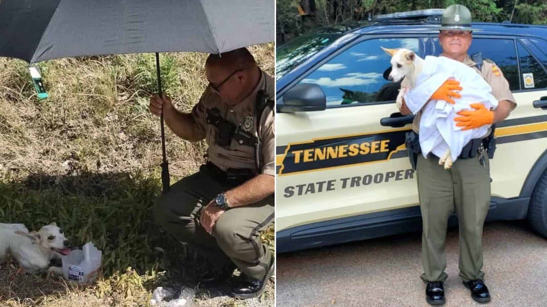 From Fear To Trust, One Officer’s Dedication And A Dog’s Journey To Safety