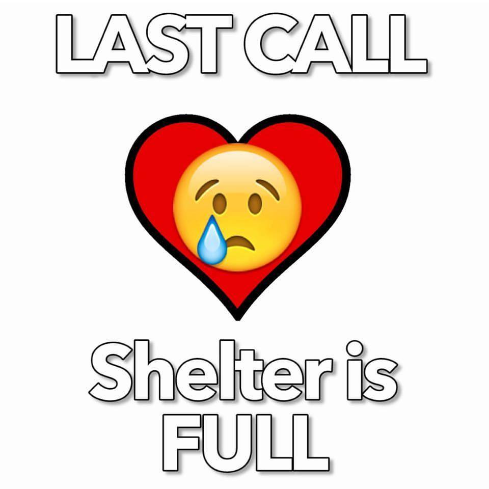 full shelter photo