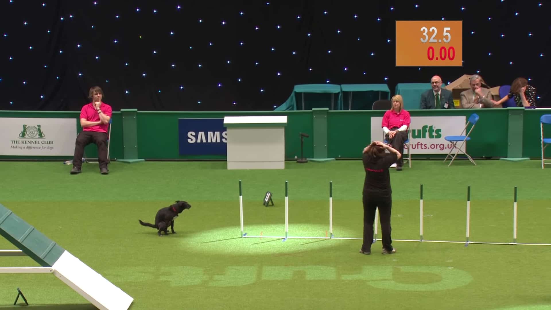 funny photo of a dog pooping during an agility performance