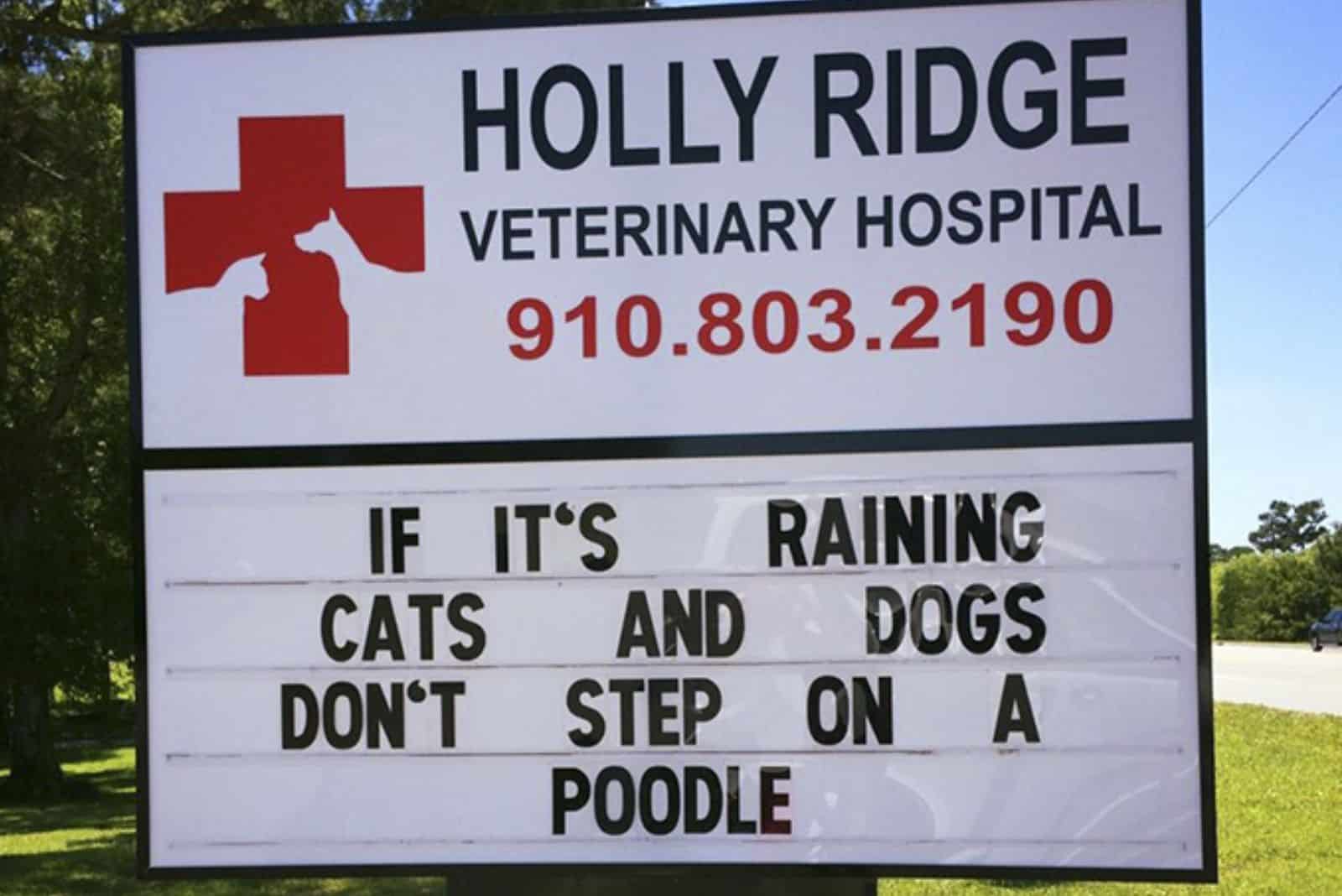 funny pun on a vet clinic sign