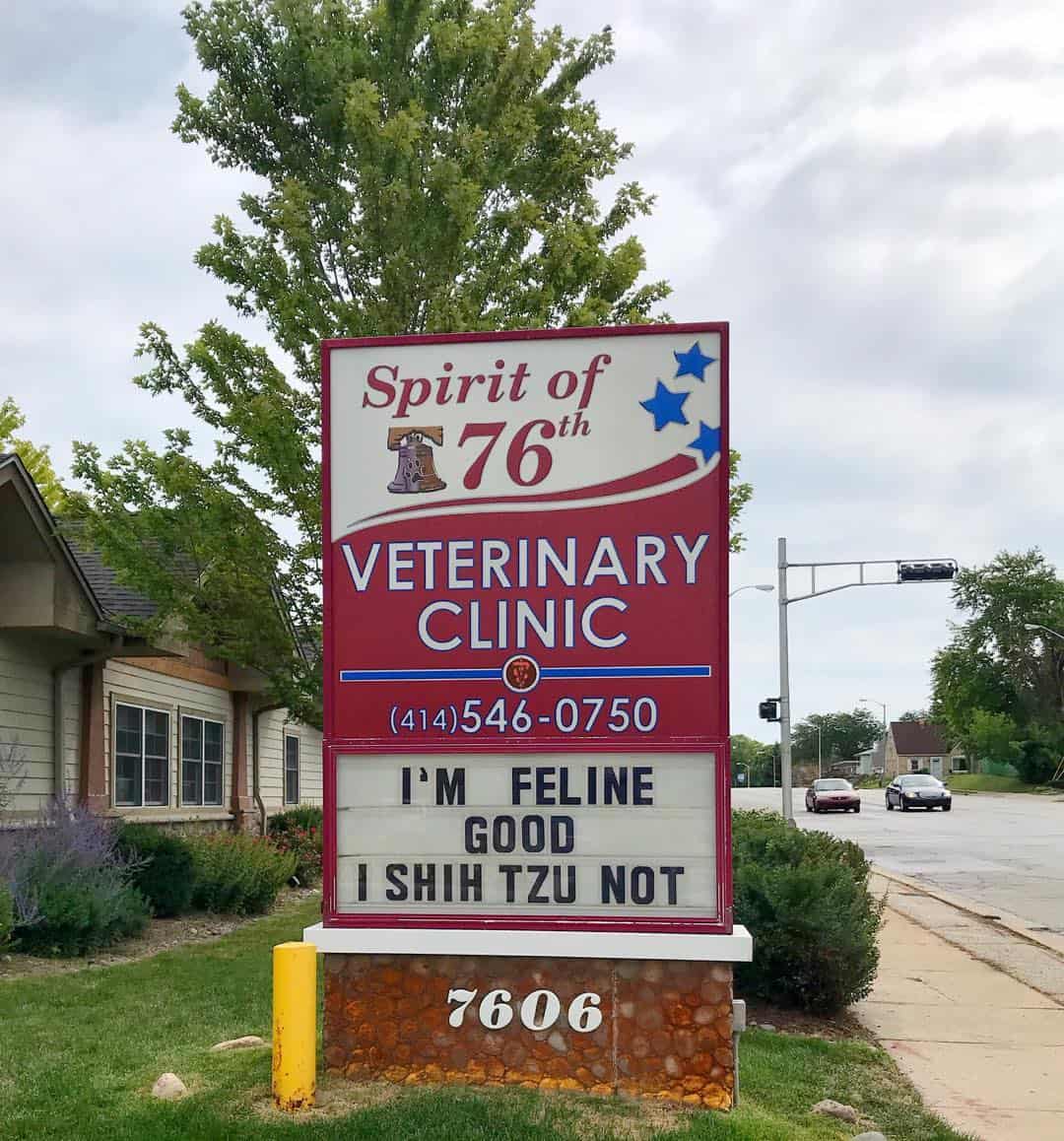 funny vet clinic sign about cats and dogs