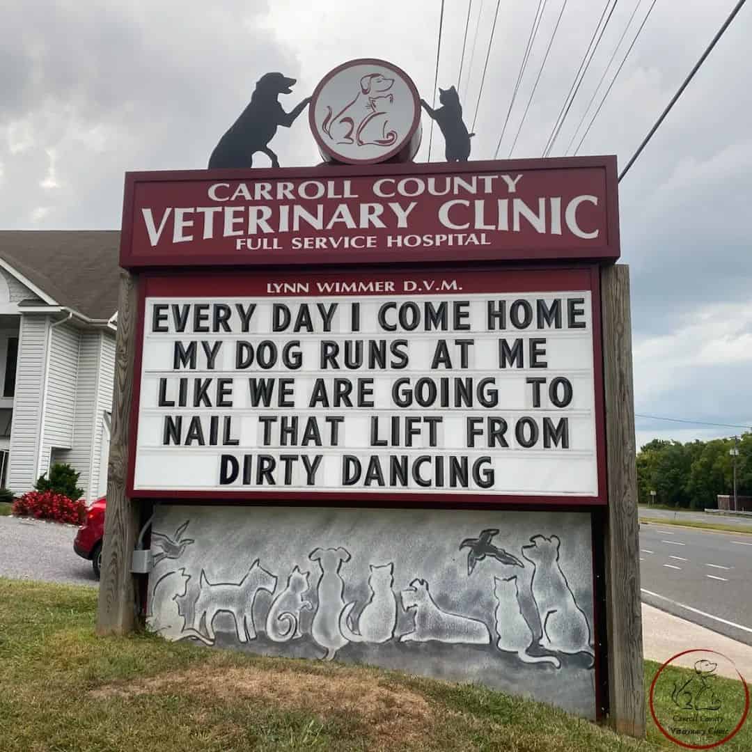 funny vet clinic sign about dirty dancing