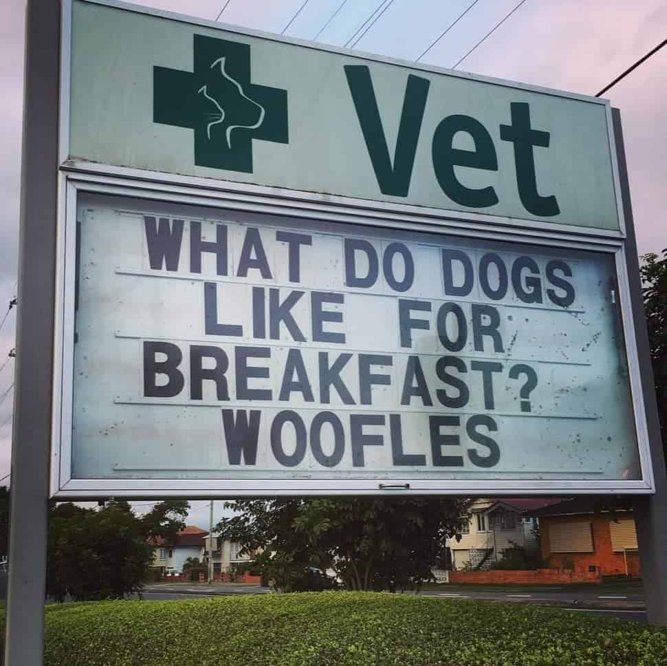 funny vet clinic sign about dog breakfast