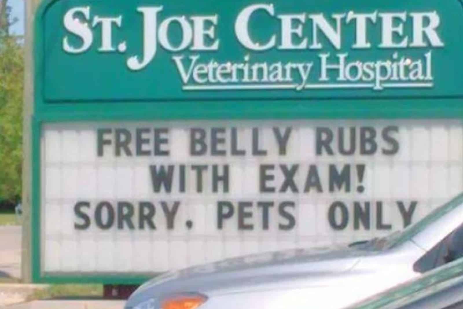 funny vet sign about belly rubs