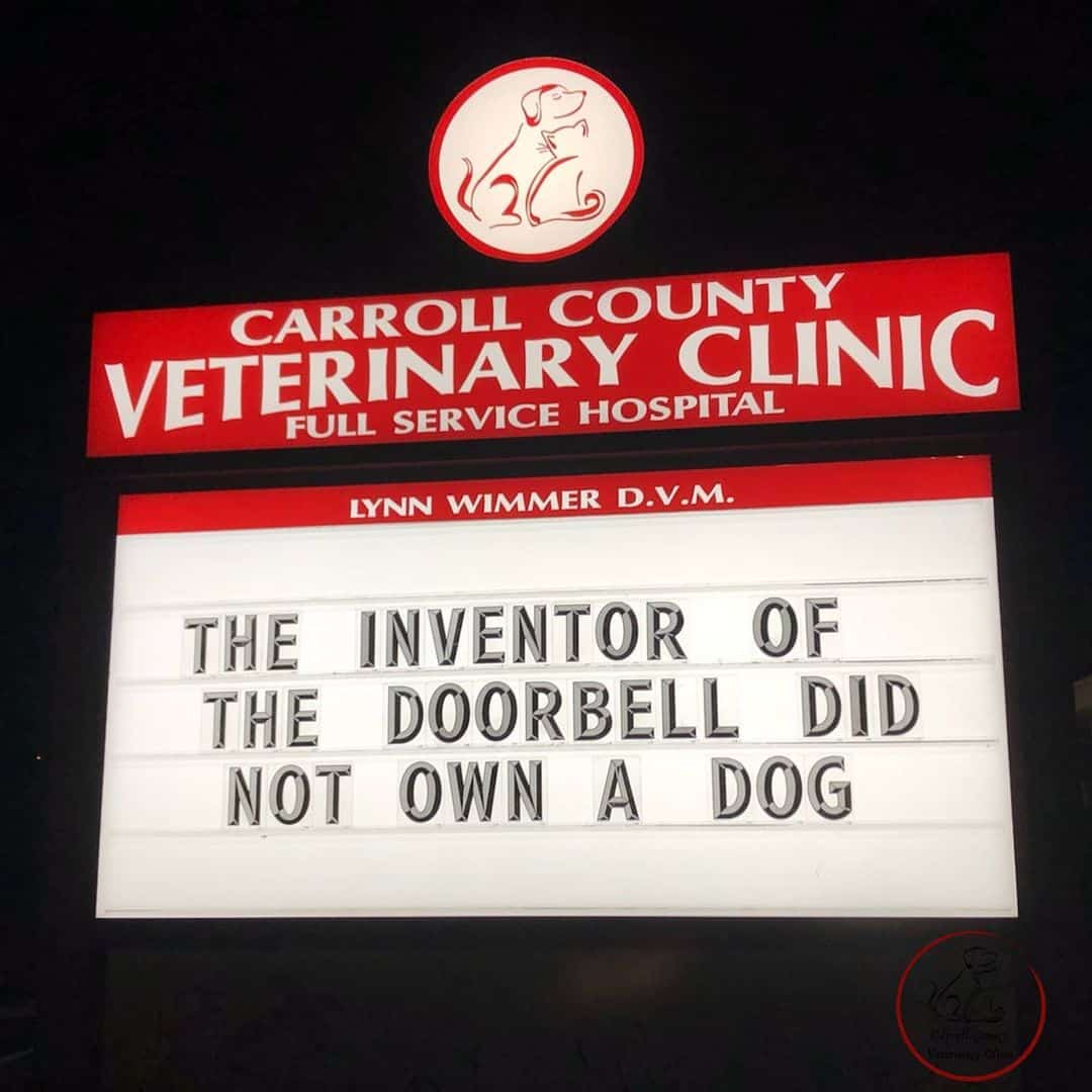 funny vet sign about dogs and doorbells