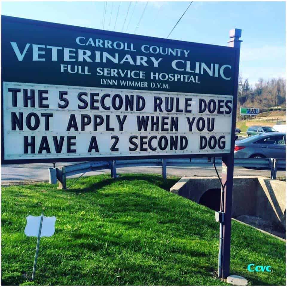funny vet sign about dogs