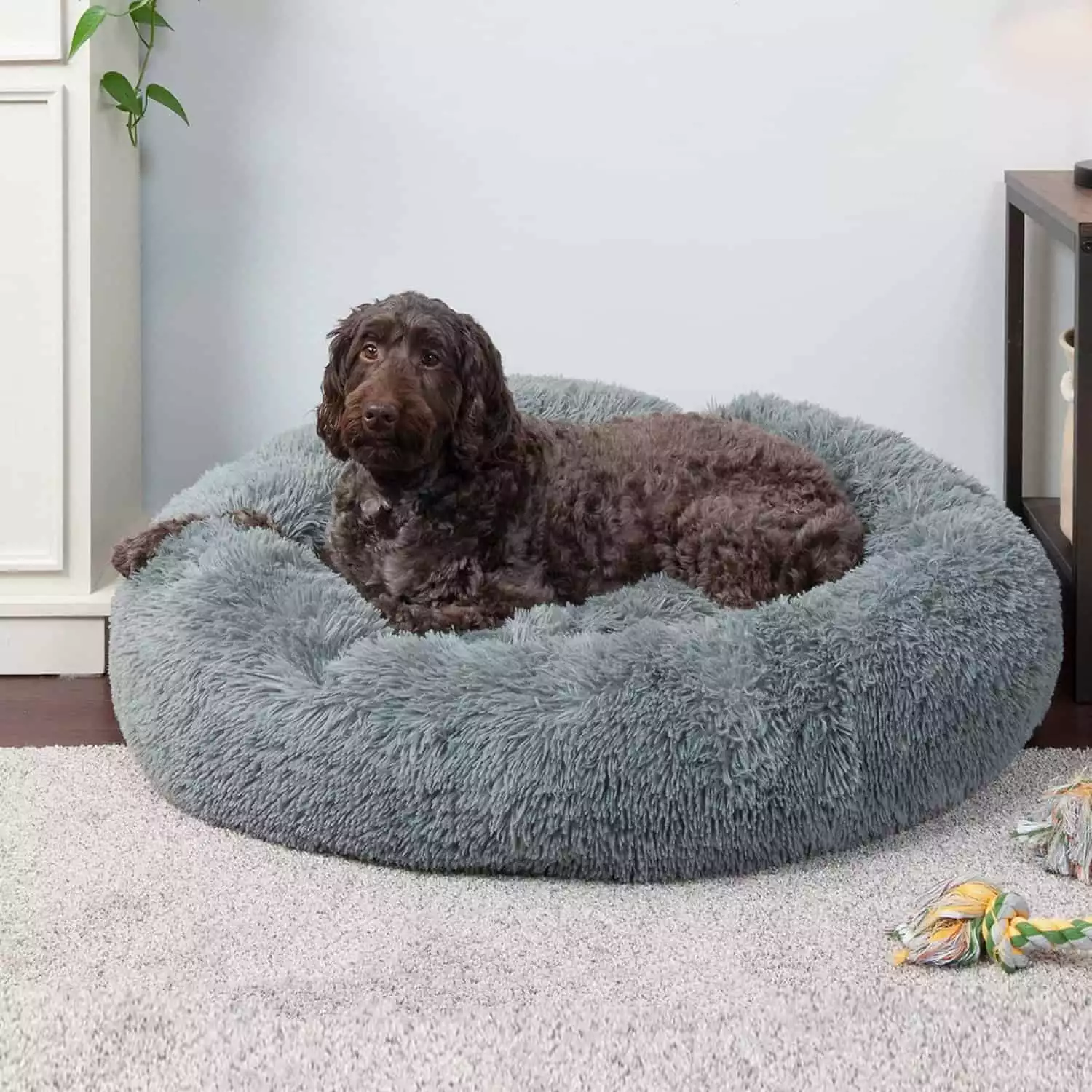 Furhaven Calming Donut Bed