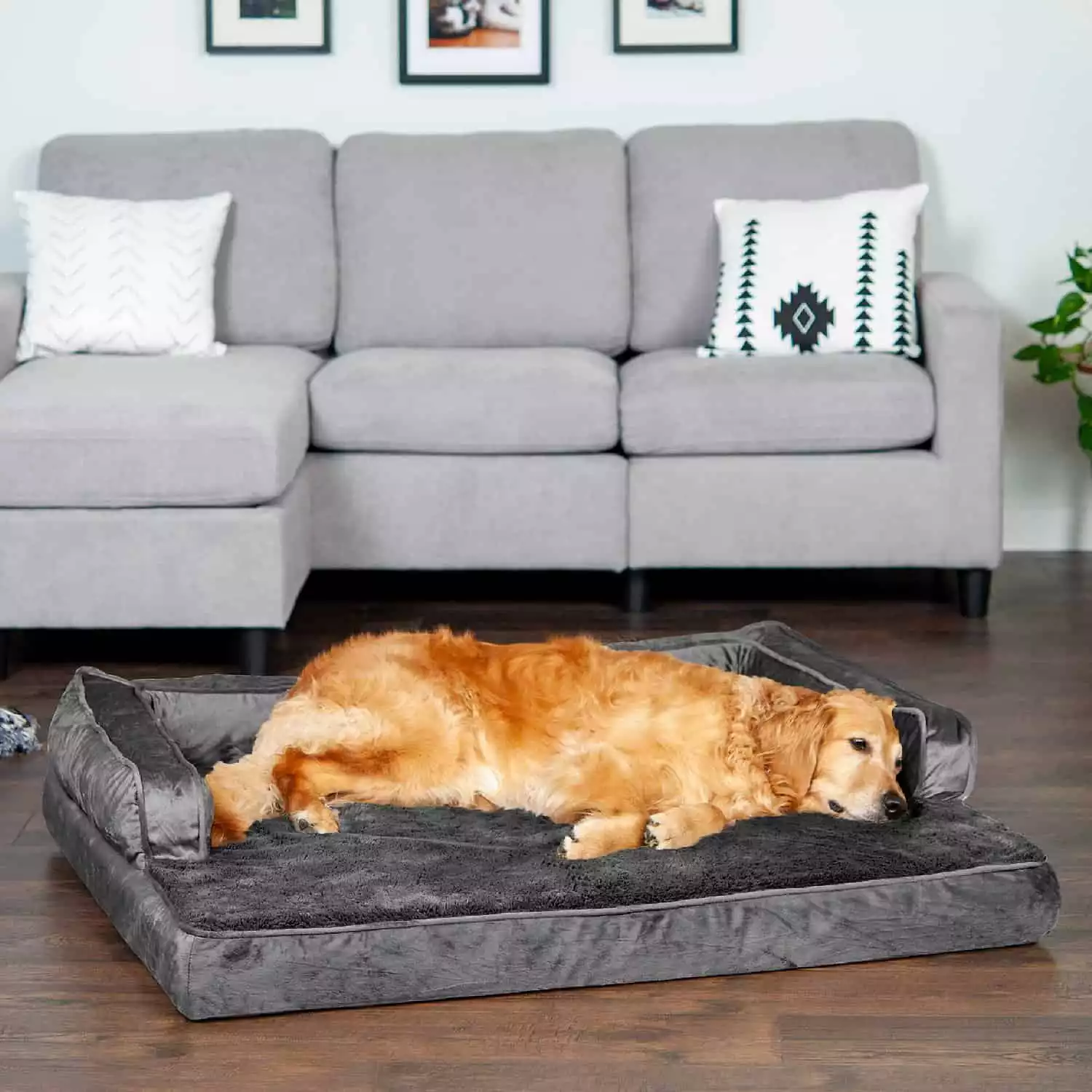 FurHaven Plush & Velvet Orthopedic Bed