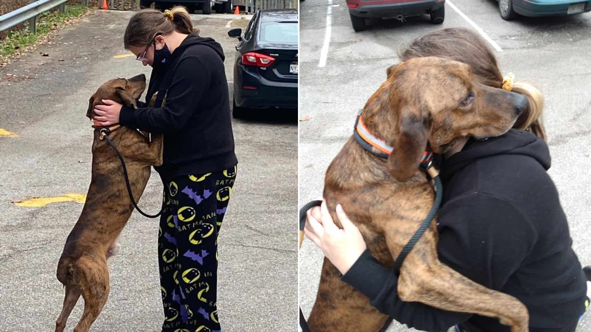 Shelter Dog Calms A Girl During Her Anxiety Attack And It’s So Sweet To Watch