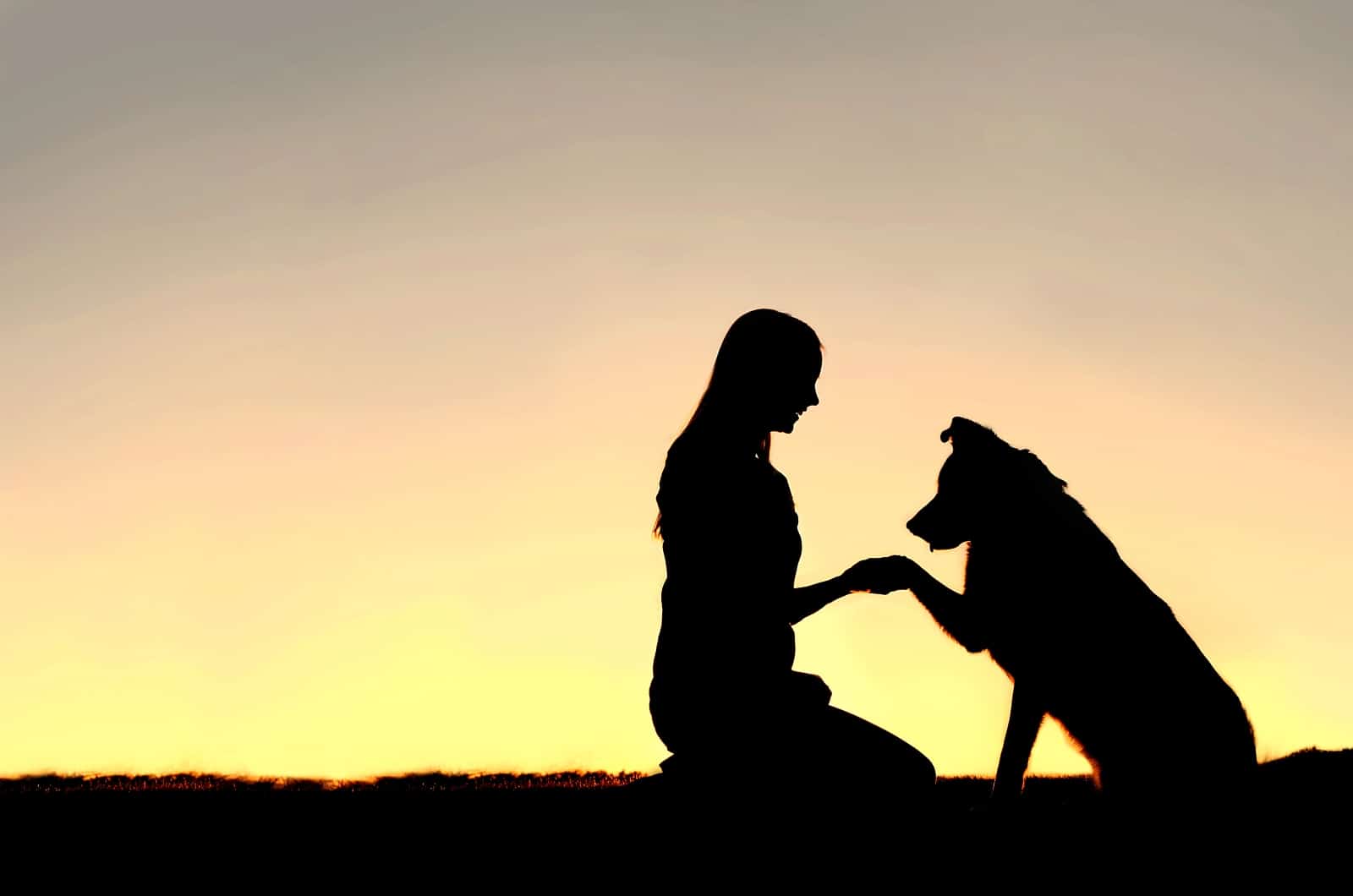 German Shepherd and owner in sunset