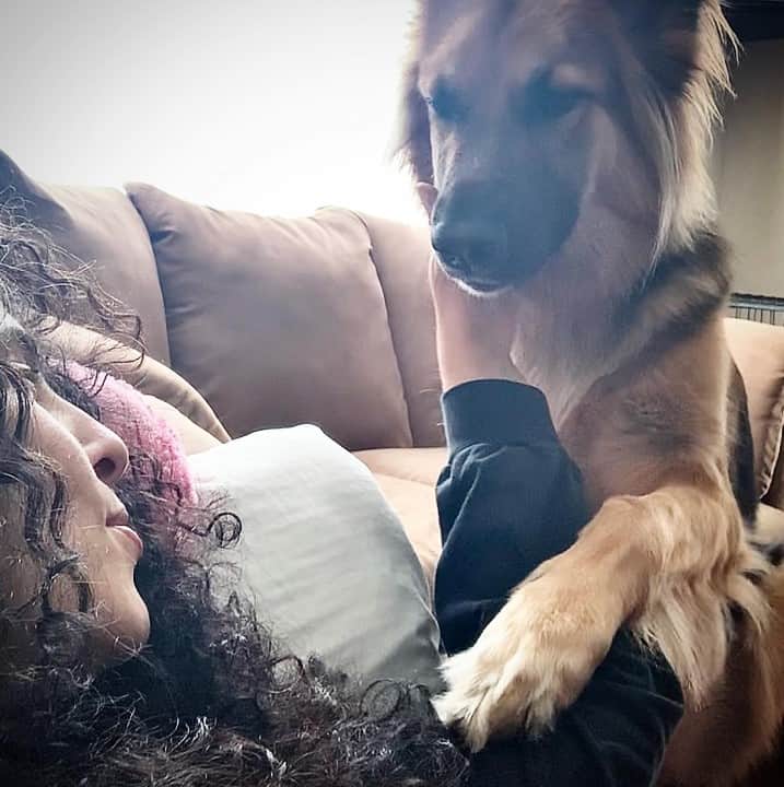 German shepherd cuddling with a woman lying on the couch