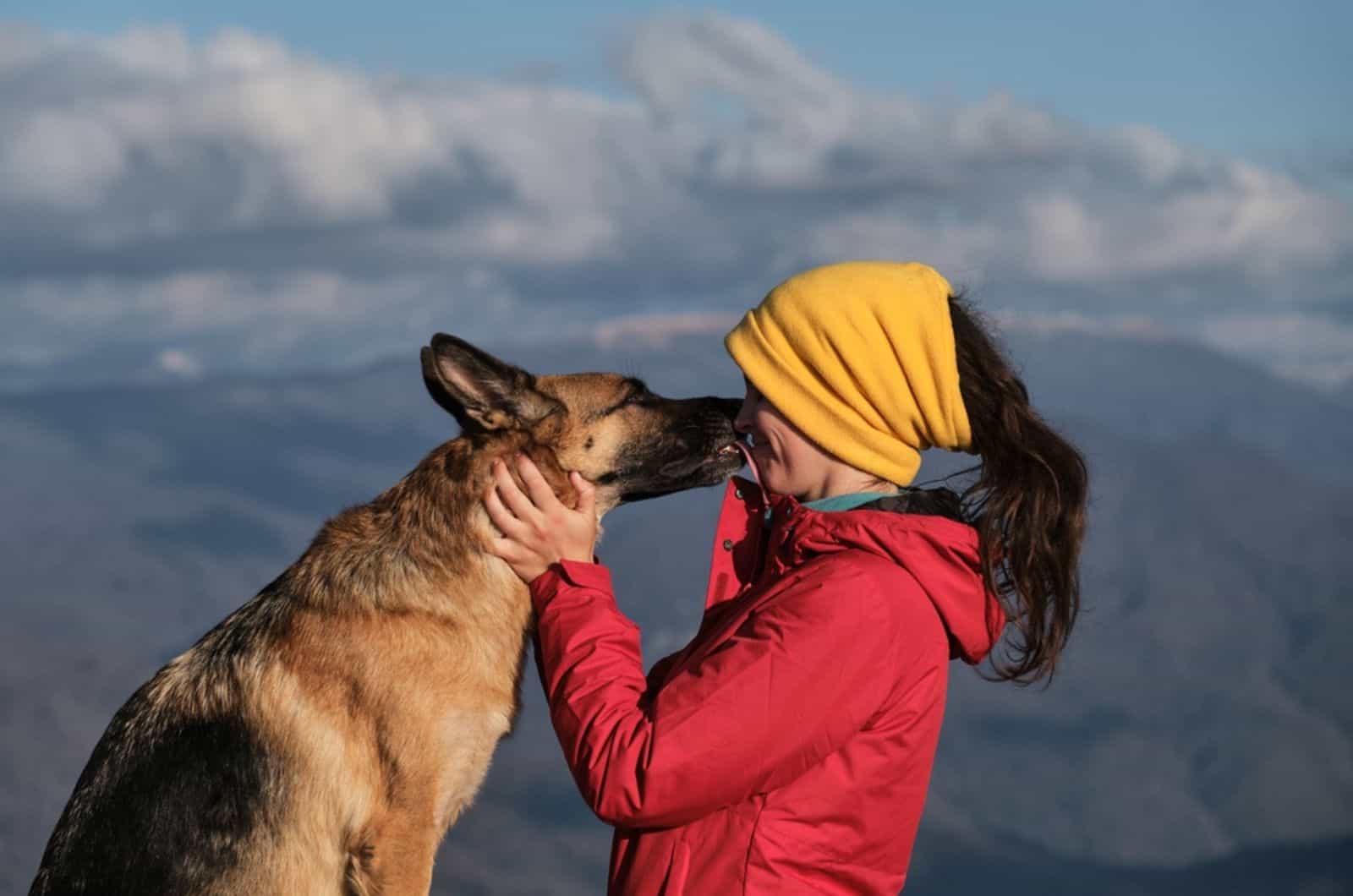 german shepherd dog licking his owner in nature