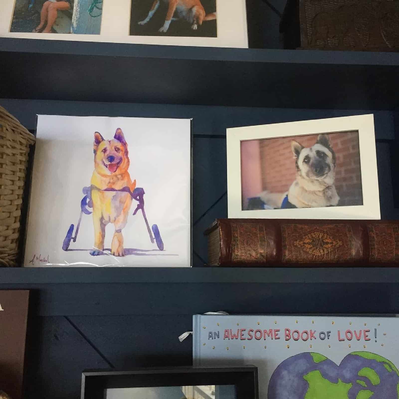 german shepherd dog pictures on a bookshelf