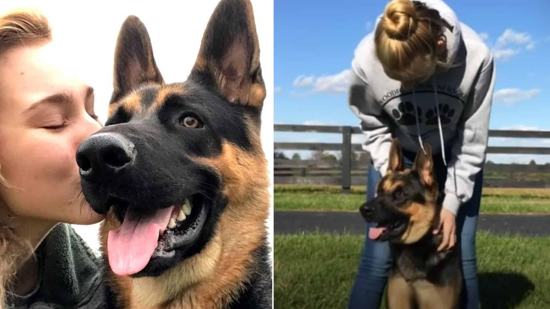 German Shepherd Has A Life-Saving Talent That Helps His Mom Fight Seizures