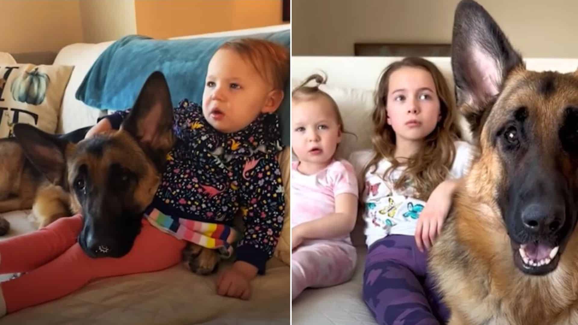 German Shepherd Learns How To Be Gentle To Win the Hearts of Three Young Girls