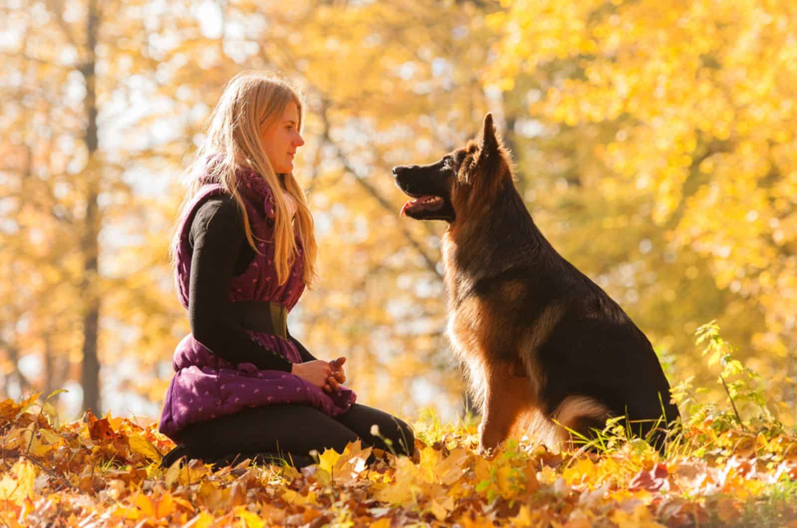 german shepherd looking at his owner in the park