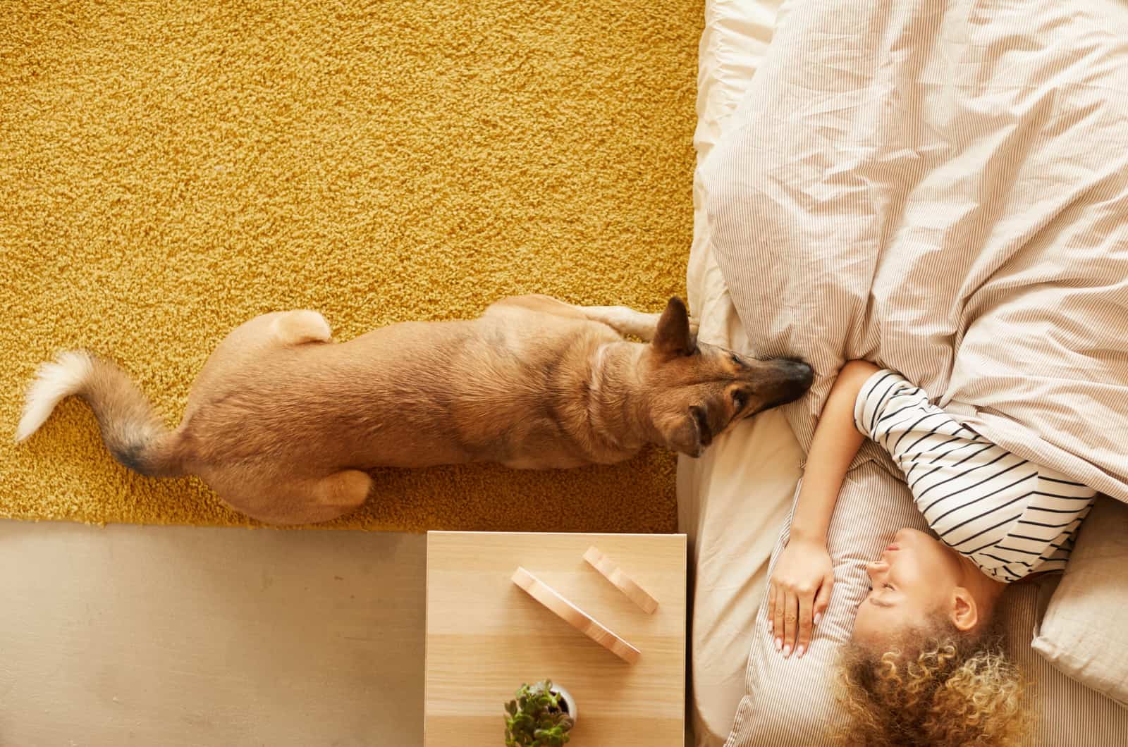 german shepherd next to their owner in bed