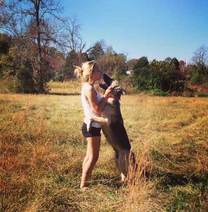 german shepherd shows his love to a girl