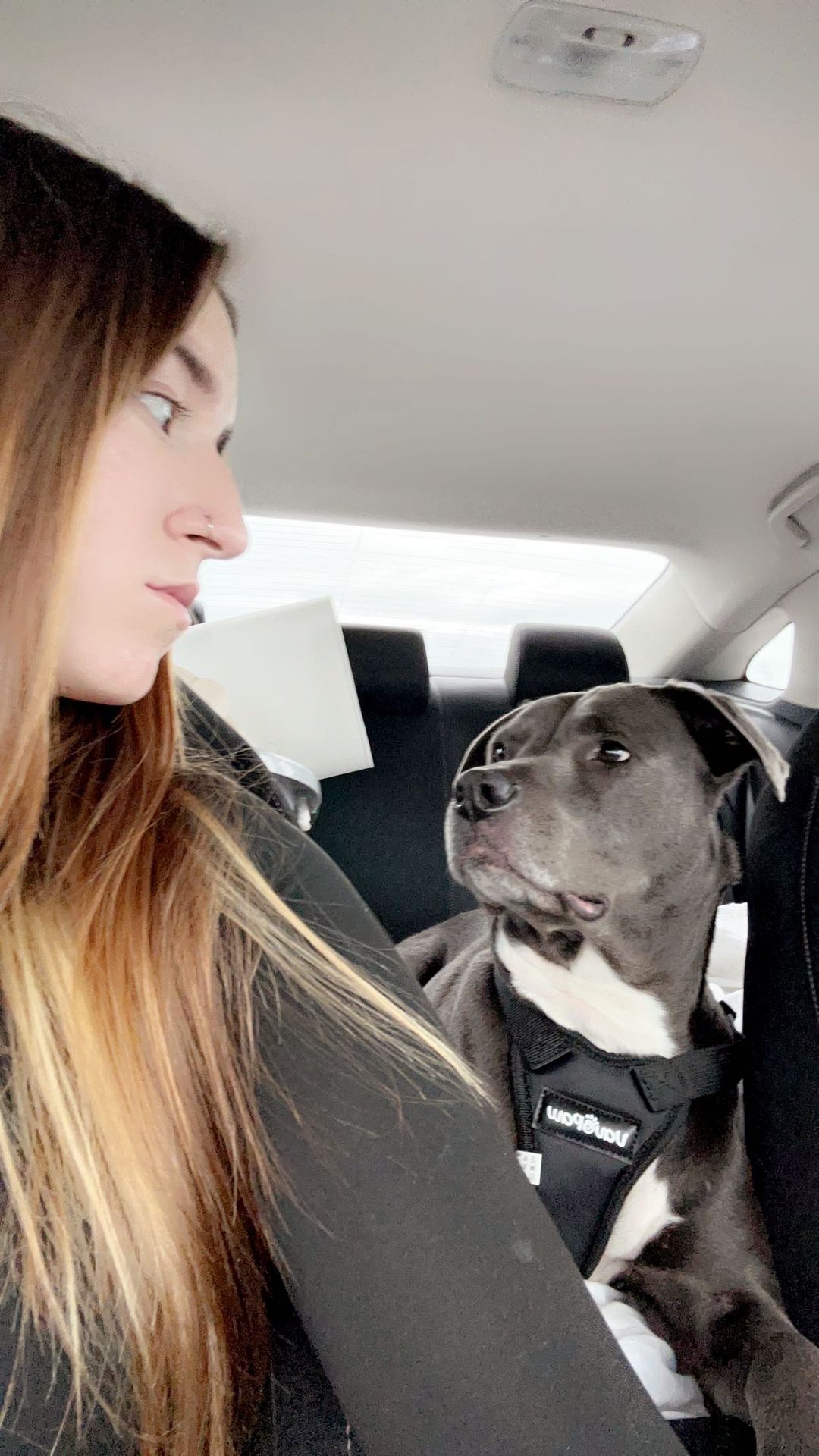 girl and deaf dog